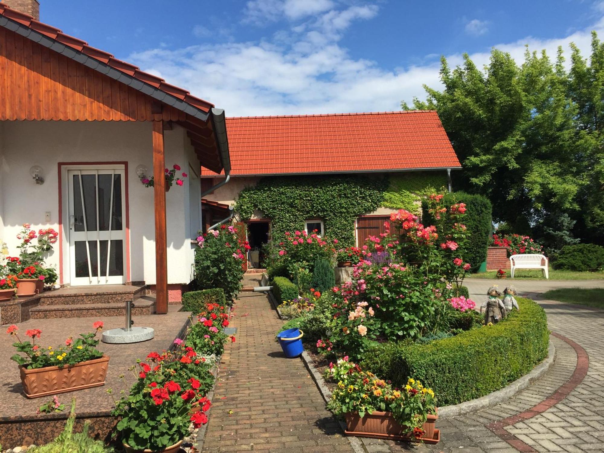 Top-Moderne Ferienwohnung Und Apartments Auf Frueherem Wunderschoenen Bauernhof Im Elbe-Elster-Kreis In Brandenburg Bei Herzberg-Elster, Schoenewalde, Holzdorf Екстериор снимка