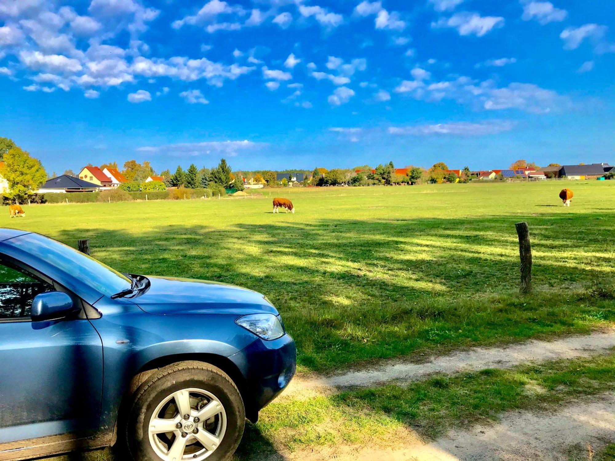 Top-Moderne Ferienwohnung Und Apartments Auf Frueherem Wunderschoenen Bauernhof Im Elbe-Elster-Kreis In Brandenburg Bei Herzberg-Elster, Schoenewalde, Holzdorf Екстериор снимка