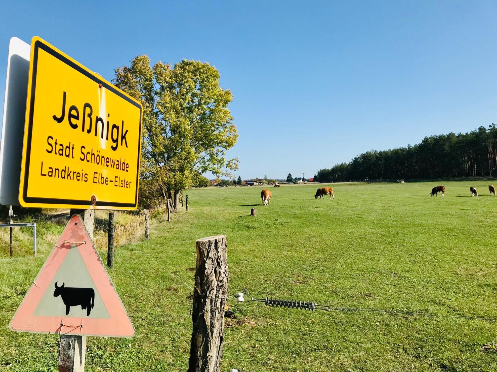 Top-Moderne Ferienwohnung Und Apartments Auf Frueherem Wunderschoenen Bauernhof Im Elbe-Elster-Kreis In Brandenburg Bei Herzberg-Elster, Schoenewalde, Holzdorf Екстериор снимка